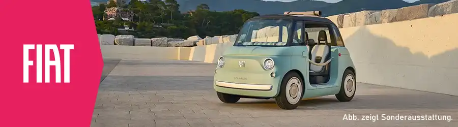 Fiat Topolio Dolcevita